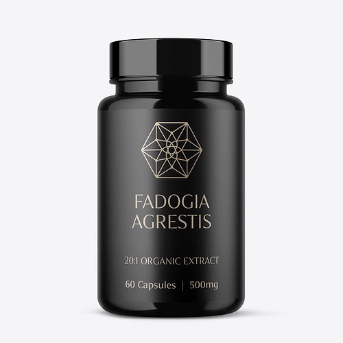 Fadogia Agrestis 20:1 Organic Premium - 60 Capsules (500mg Each)