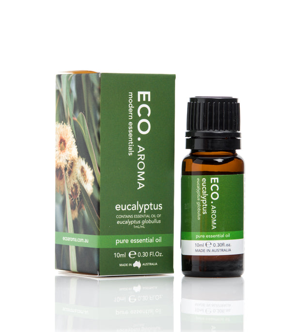 ECO Aroma Essential Oil - Eucalyptus 10ml-Natural Progression