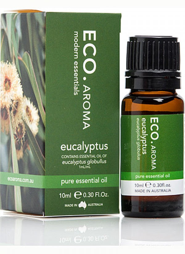 eco aroma essential oil eucalyptus 10ml