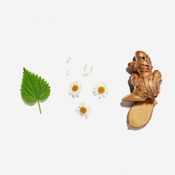 Love Tea Pregnancy 20 Pyramids